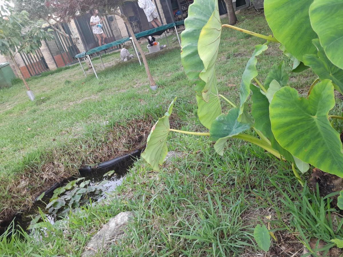 La Casa De Las Ranas Poio Luaran gambar