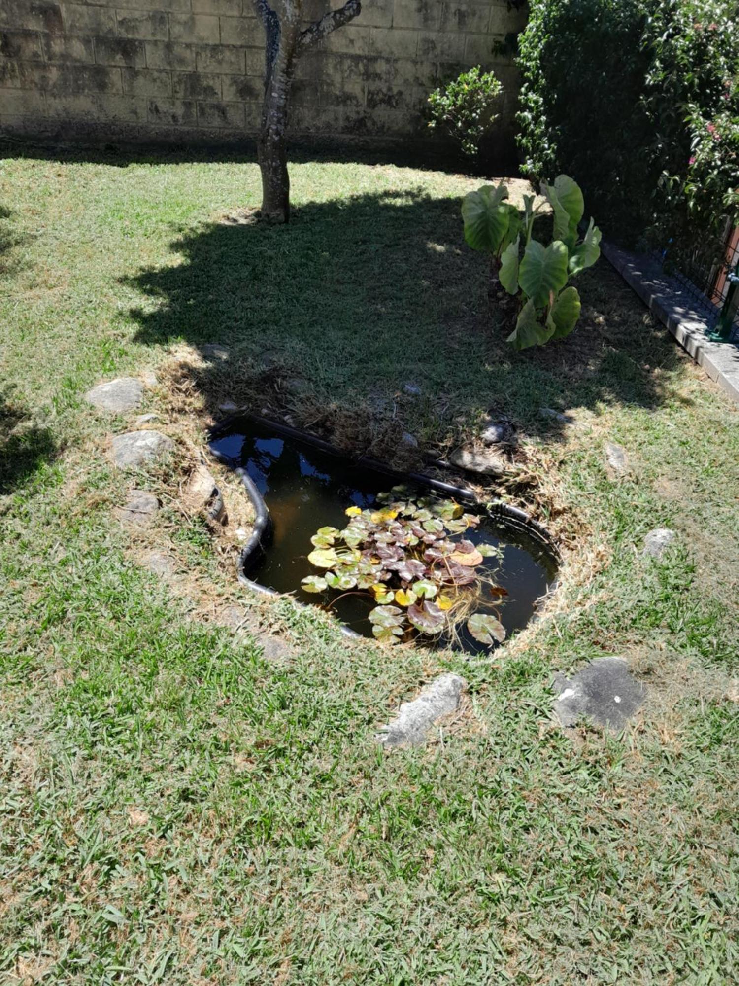 La Casa De Las Ranas Poio Luaran gambar